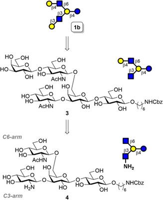 Chemoenzymatic Synthesis of Asymmetrically Branched Human Milk Oligosaccharide Lacto-N-Hexaose